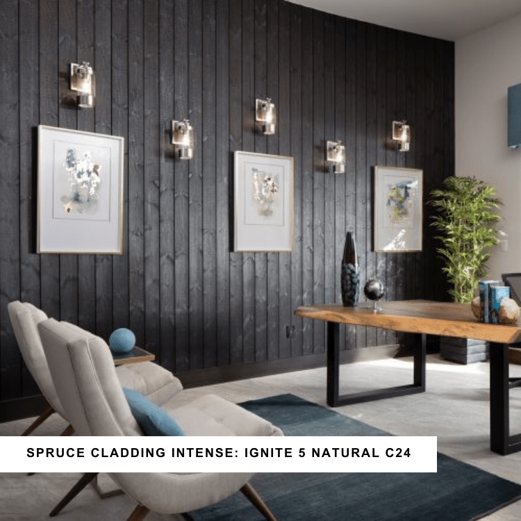 Thermory Ignite New American Home 2020 Henderson Nevada USA Photo credit Jeffrey A. Davis Photography 3 750x500